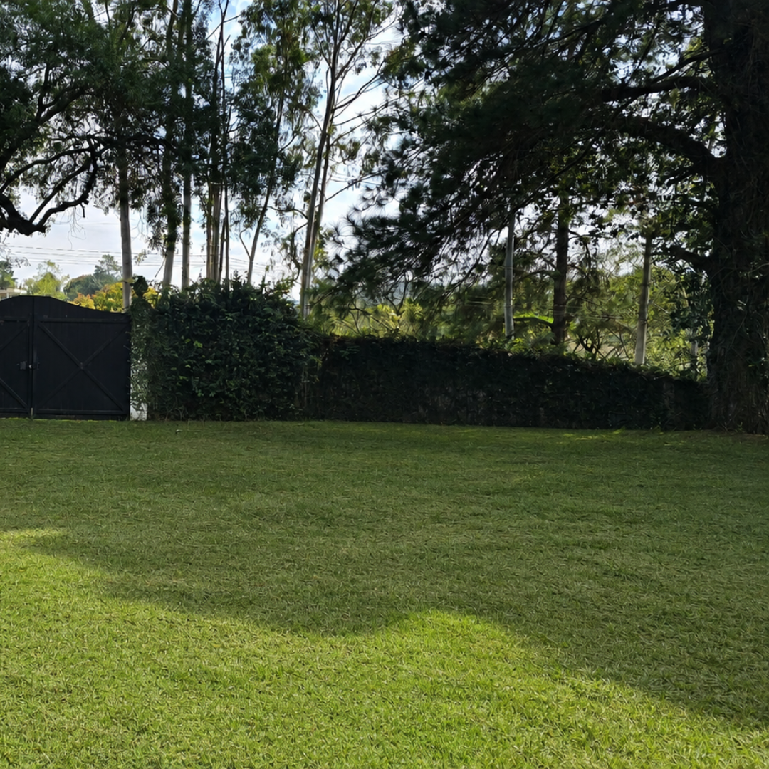 Espaço para eventos para alugar 2