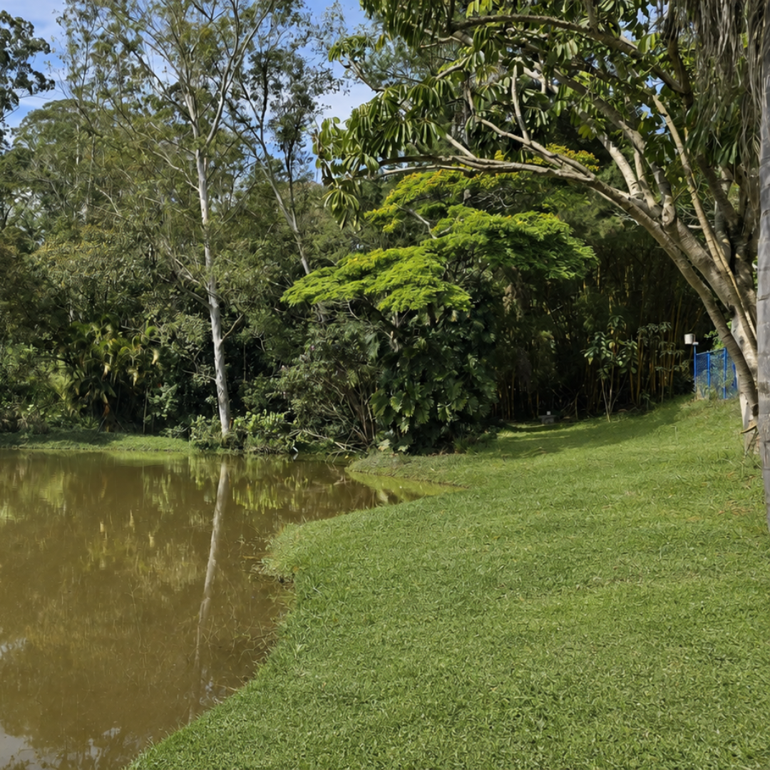 Espaço para eventos para alugar 6